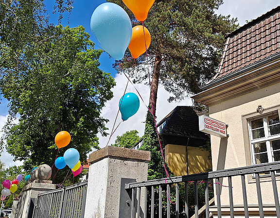 20250523_Fruehling1.jpg